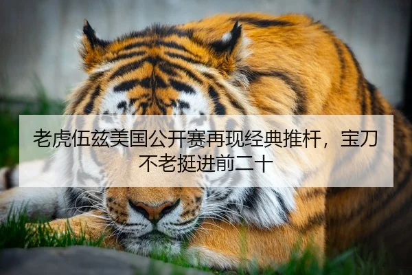 老虎伍兹美国公开赛再现经典推杆，宝刀不老挺进前二十