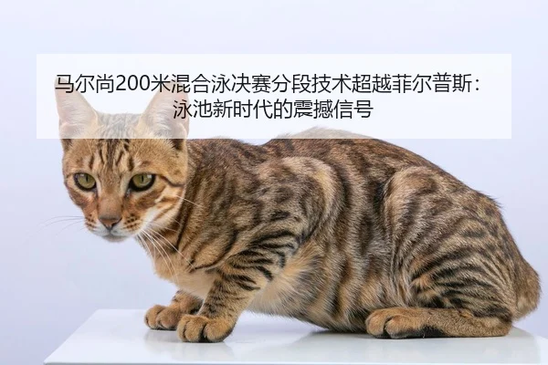 ma-er-shang-mi-hun-he-yong-jue-sai-fen-duan-ji-shu-chao-yue-fei-er-pu-si-yong-chi-xin-shi-dai-de-zhen-han-xin-hao-2-744.jpg